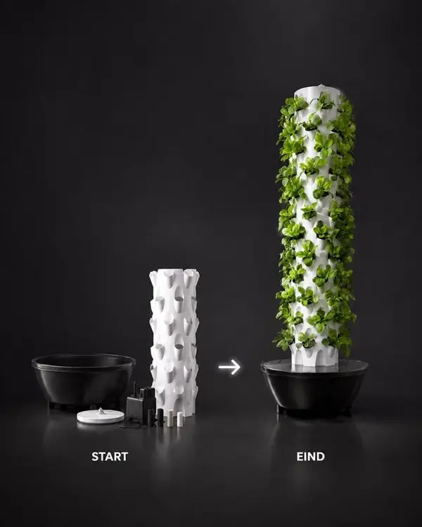 From seedling to full harvest